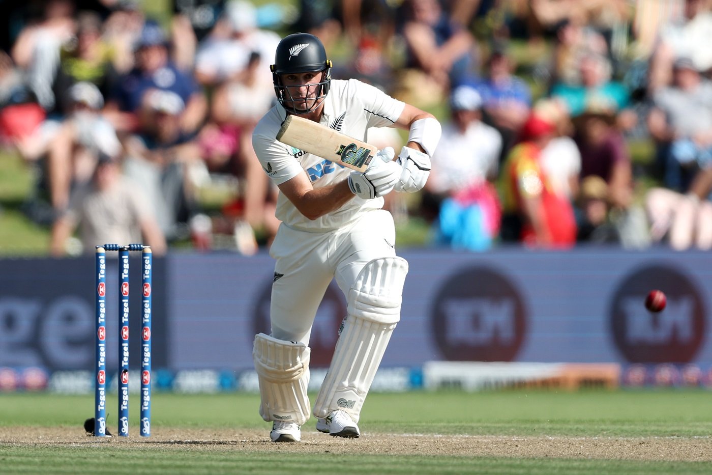 New Zealand call up Young as Williamson's replacement for remaining two Tests