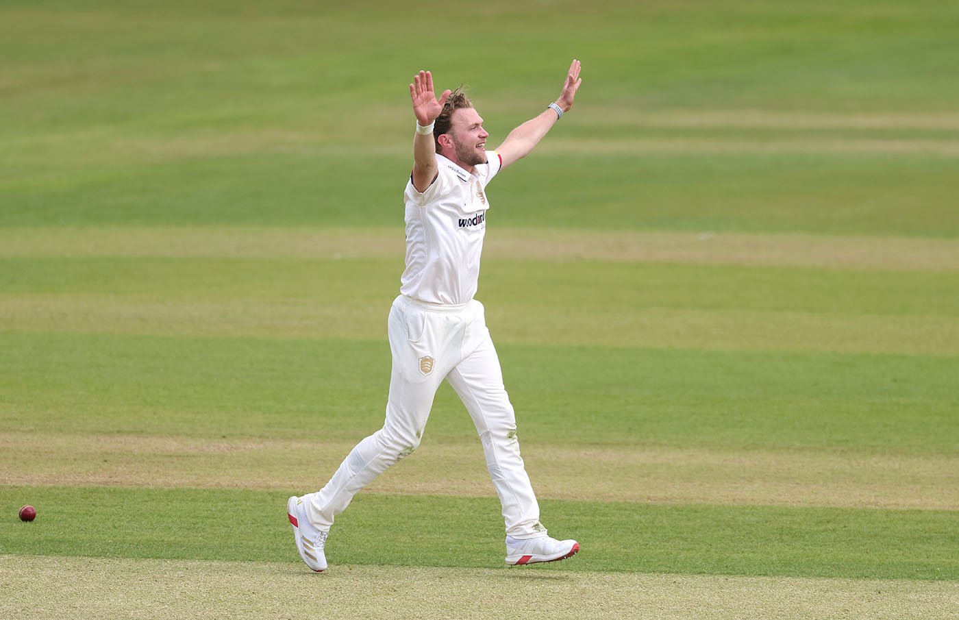 Sam Cook, Shane Snater lead Leicestershire demolition job