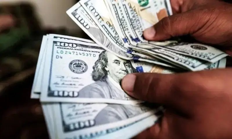 Roshan Digital Account inflows doubled since July 2024: banks association