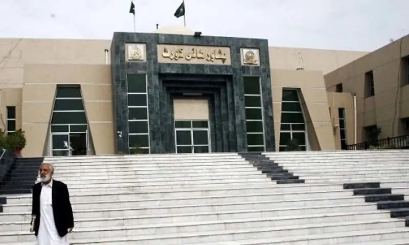 Peshawar High Court seeks govt response over deaths caused by rat bites