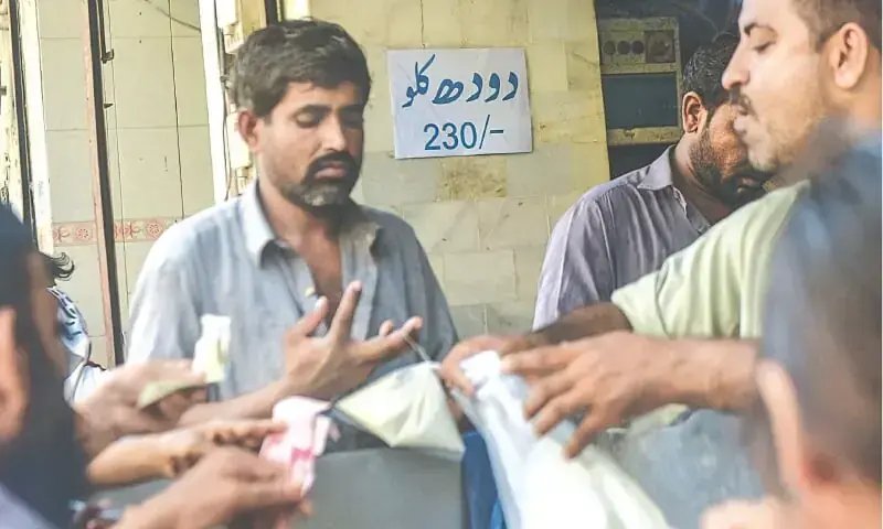 Dairy farmers seek massive hike in milk price amid quality complaints in Karachi