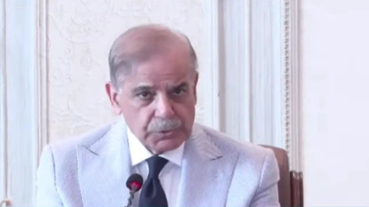PM Shehbaz says efforts now needed to turn Pakistan into an 'economic power'