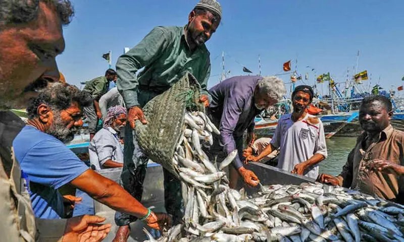 Seafood exports top $500 million