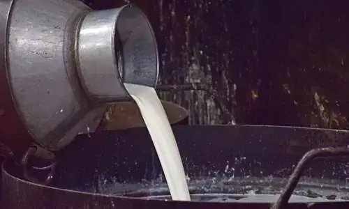 Two fake milk producers sentenced to 12 years in jail in Punjab