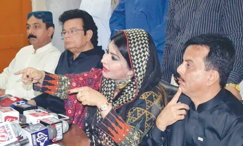 Sindh won’t accept 28th Amendment if it curtails provincial autonomy: PPP leader