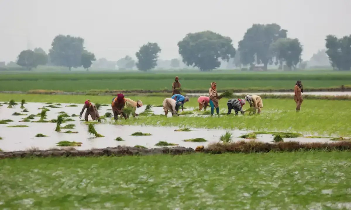 Setting priorities right for agriculture