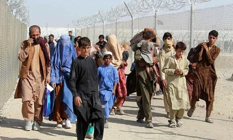 Repatriation of undocumented Afghans picks up pace