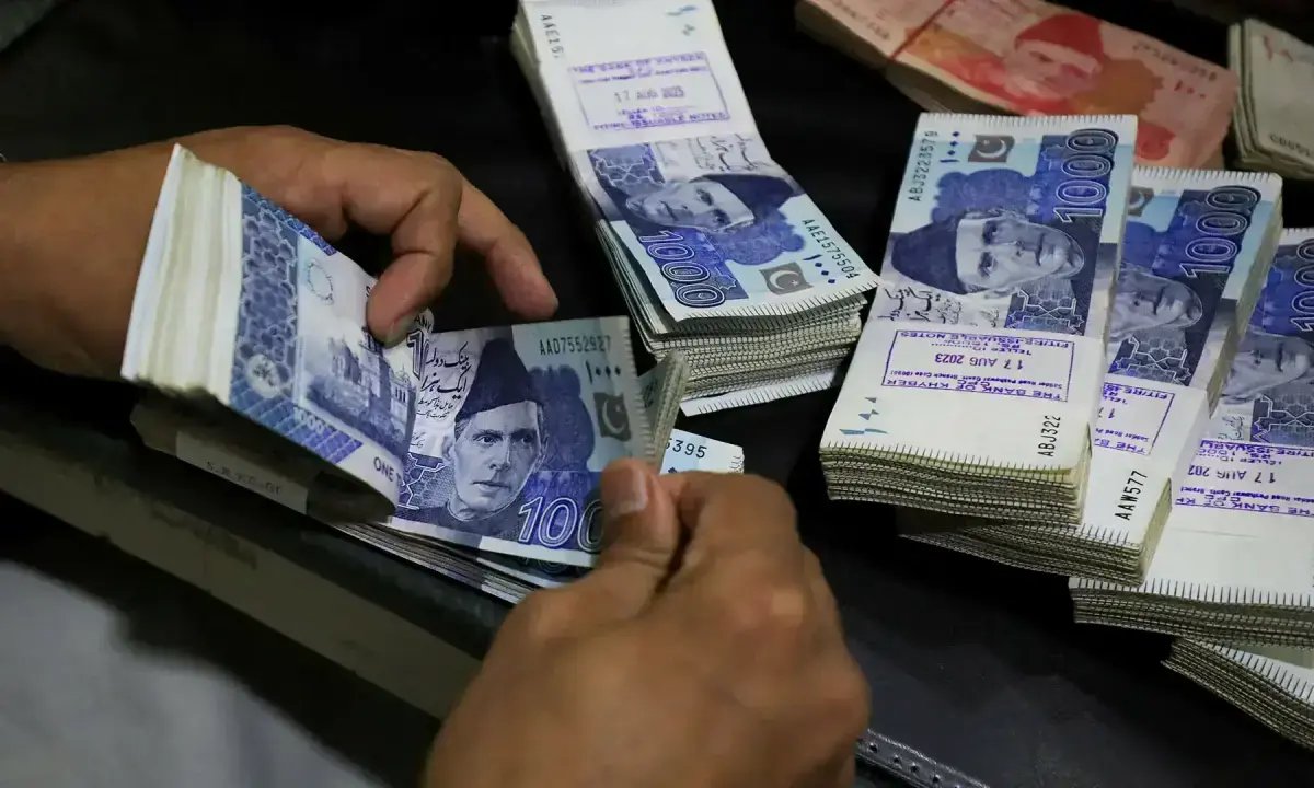 ECONOMIC SURVEY 2026-27: Record provincial surplus masks  deeper fault lines