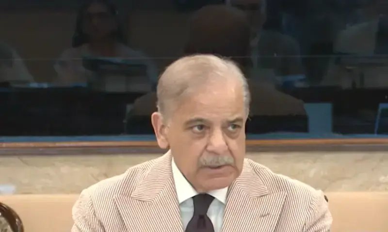 PM Shehbaz addresses federal cabinet