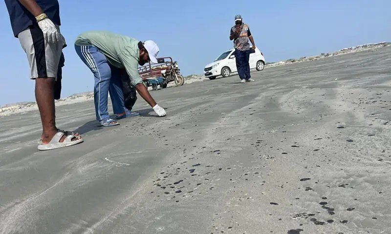 Heavy oil slick hits Gwadar’s western coast