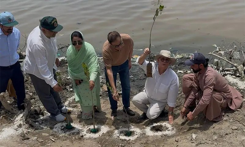 Karachi mayor inaugurates mangroves plantation drive at Benazir Park