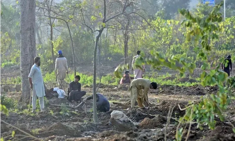 Climate ministry secures Rs2.48bn Public Sector Development Programme allocation for green projects