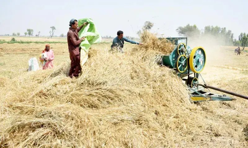 Farmers feel left out as budget sidelines agriculture