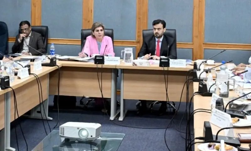 Senate committee seeks stronger reforms against honour killings, illegal jirgas