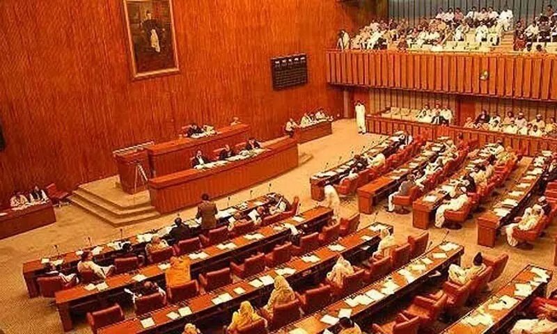 PPP lawmaker calls for separate South Punjab province in Senate