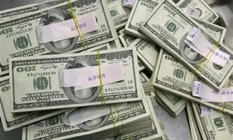 Foreign loan inflows surge to $12.1bn