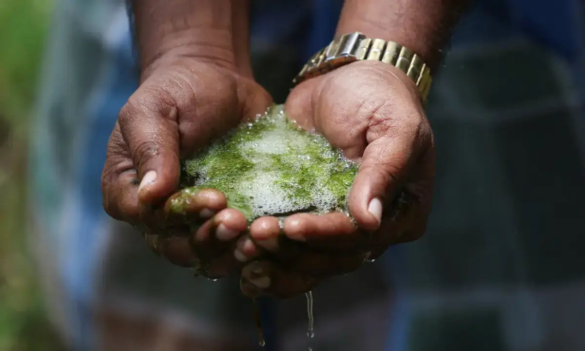 Tata's iPhone parts factory in India's Tamil Nadu faces health probe after farmers' contamination complaints