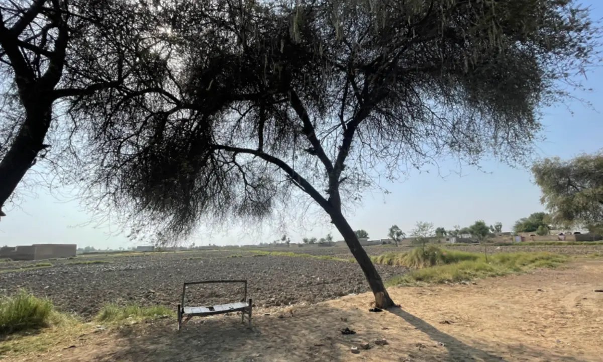 51 degrees and counting: Surviving heat in Jacobabad