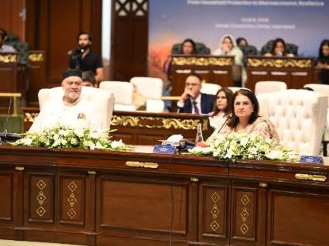 BISP's Rs1 generates Rs2.34 in economic activity