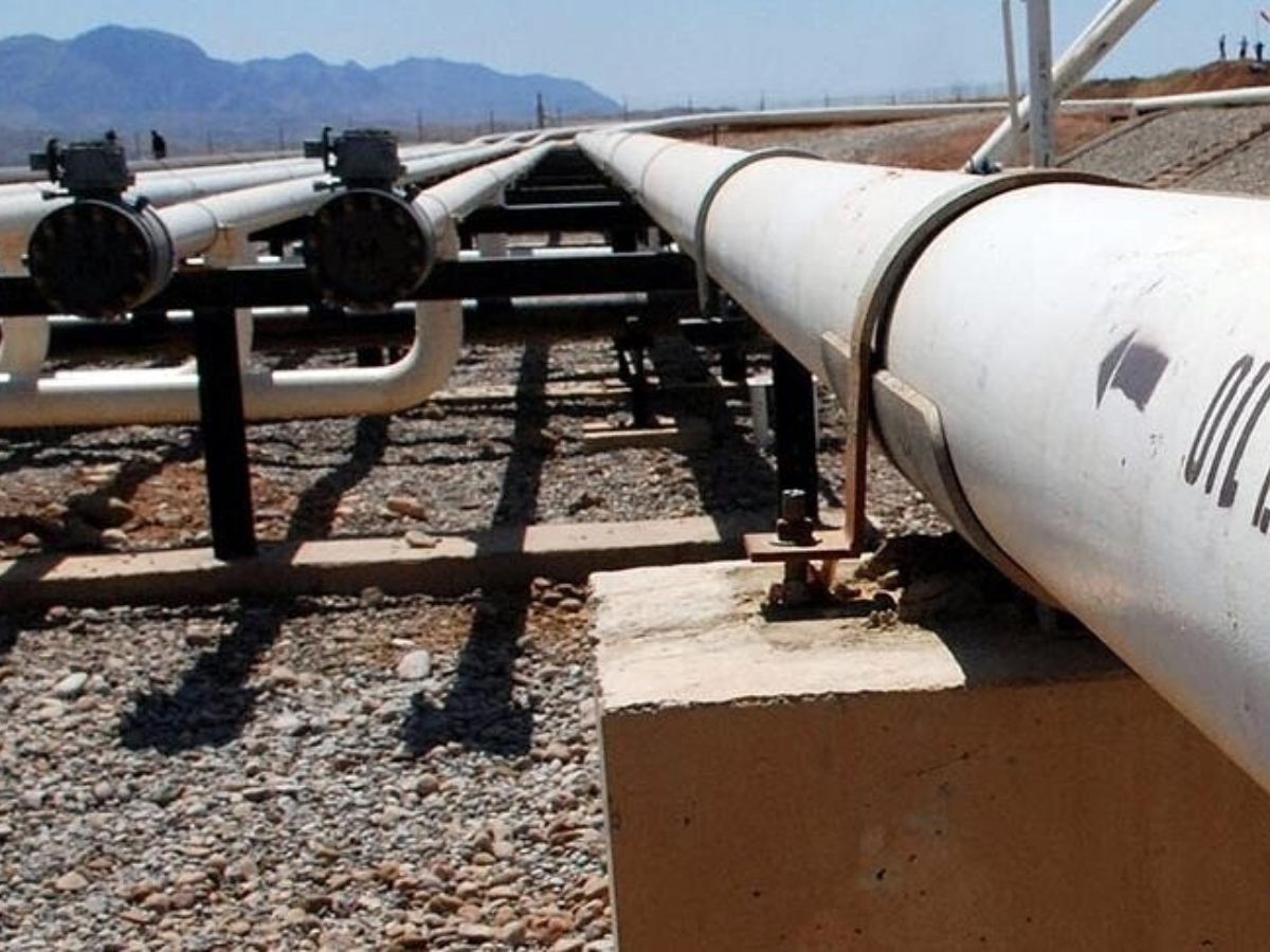 UAE’s new pipeline bypassing Strait of Hormuz nearly 50% complete, oil chief says