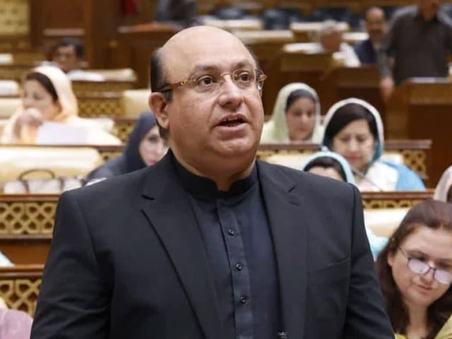 Finance minister dismisses budget criticism