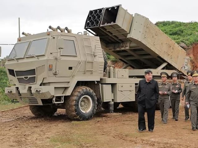 N status irreversible: N Korea