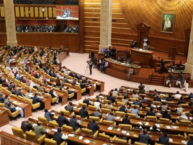 MPAs cross swords over economy, policing