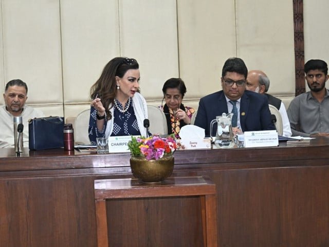 Pakistan's climate fight faces funding cuts