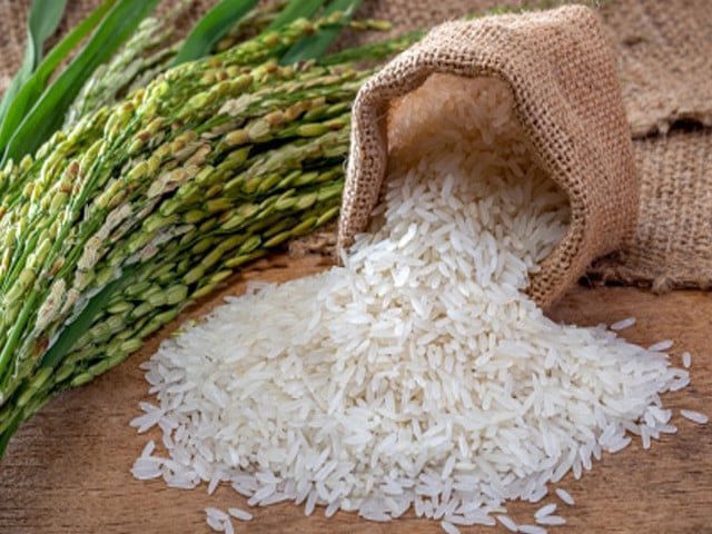 Pakistan Rice Festival opens doors to Europe