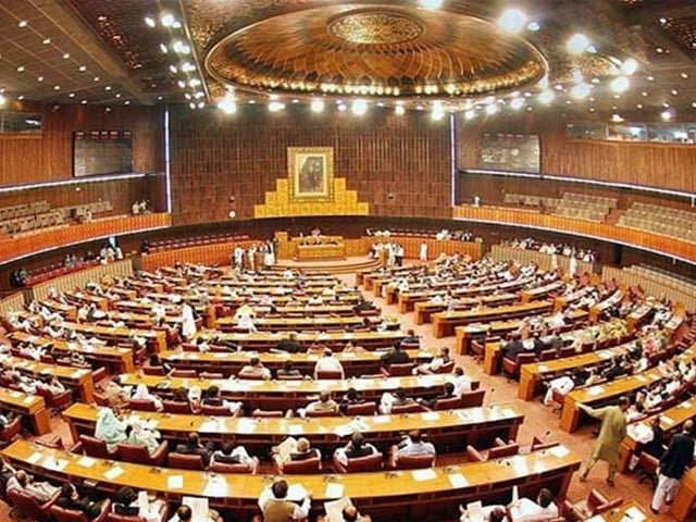 Violence against women rattles MPs