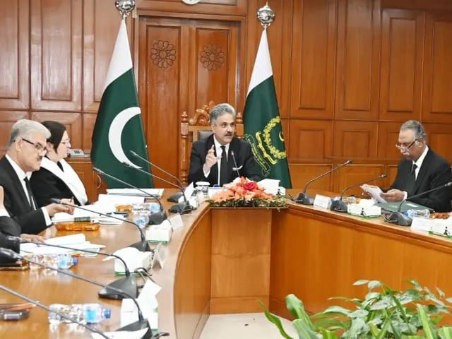 Executive influencing court: experts