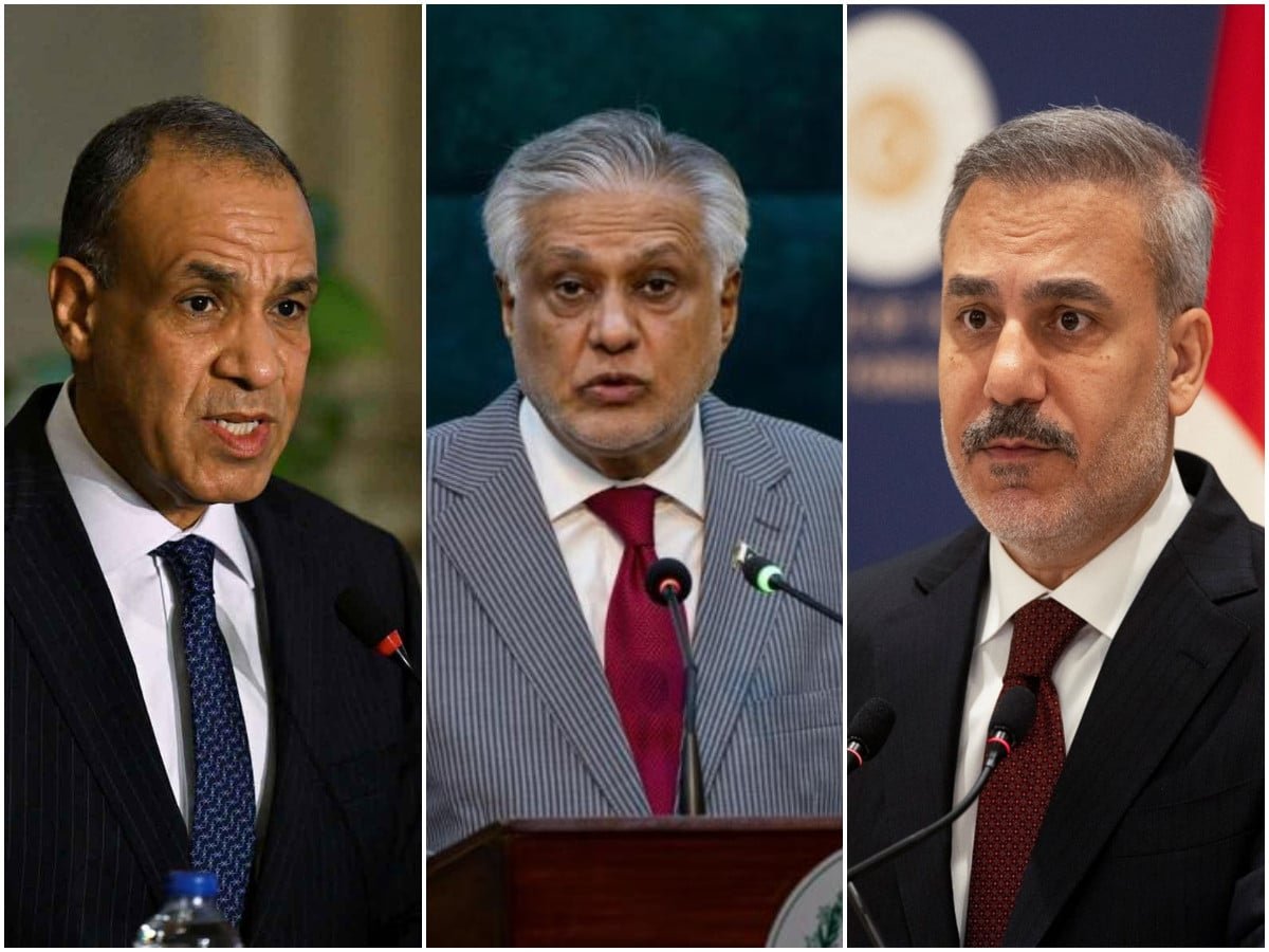 FM Dar discusses volatile regional situation, urges dialogue in talks with Egyptian, Turkish counterparts
