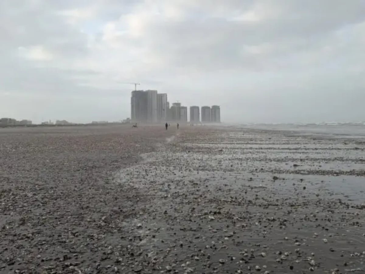 Explainer: Why do thousands of seashells wash up on Karachi's shores every monsoon?