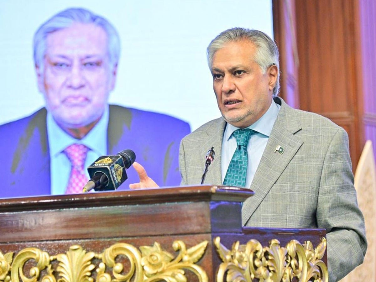 امریکی تحویل سے 20 ایرانی، 11 پاکستانی شہریوں کی رہائی میں کامیابی حاصل کرلی، اسحاق ڈار
