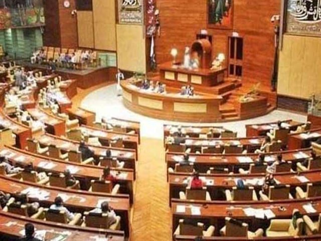 سندھ اسمبلی؛ چائلڈ لیبر، گیس لوڈشیڈنگ، غیرت کے نام پر قتل پر بحث، اہم قراردادیں منظور