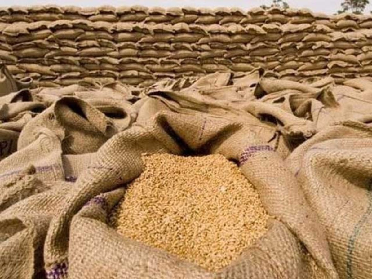 گندم خورد برد کیس میں سابق گودام انچارج کو 13 سال قید کی سزا، 10 لاکھ جرمانہ