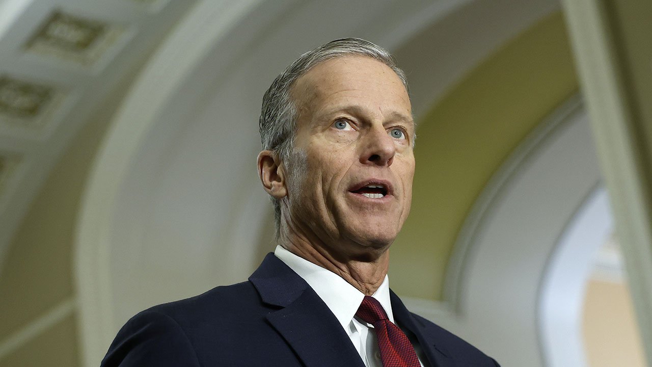 Thune pushes back on Trump's call to fire Senate parliamentarian to pass SAVE America Act