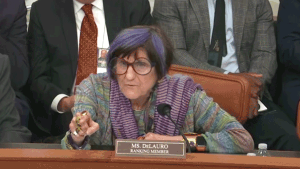 WATCH: Hearing derails as purple-haired Dem points finger, screams at chair to put DHS chief 'in his place'